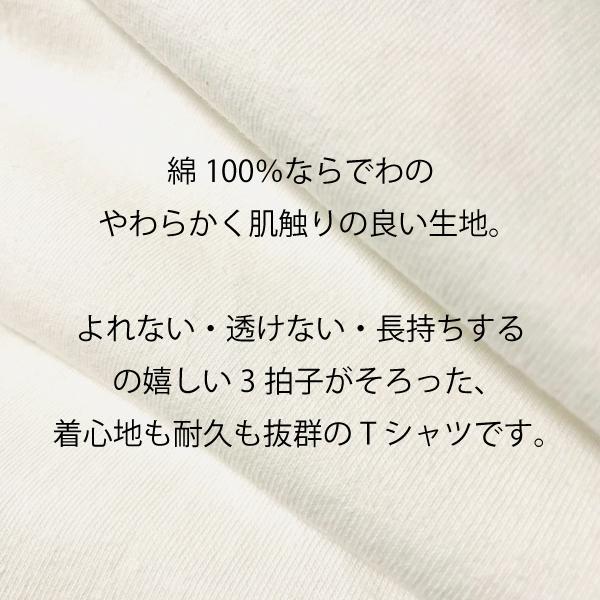 ビッグTシャツ フィンチぞろぞろ 文鳥 キンカチョウ 大きいサイズ Tシャツ 男女兼用 ユニセックス 白 鳥 可愛い かわいい |  | 10