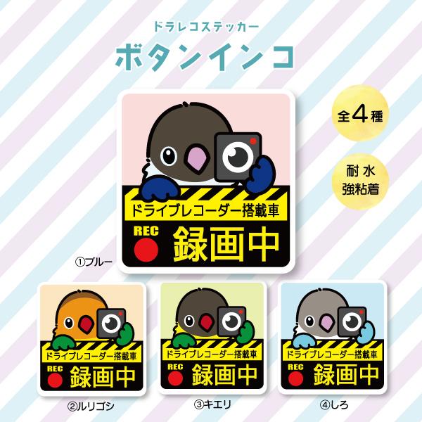 ドラレコステッカー ボタンインコ ドラレコ 録画中 搭載 前後 カメラ 鳥 可愛い かわいい | 