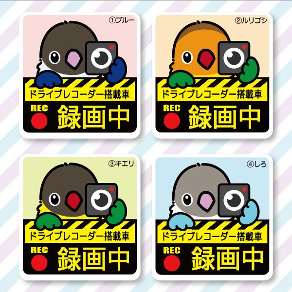 ドラレコステッカー ボタンインコ ドラレコ 録画中 搭載 前後 カメラ 鳥 可愛い かわいい |  | 01