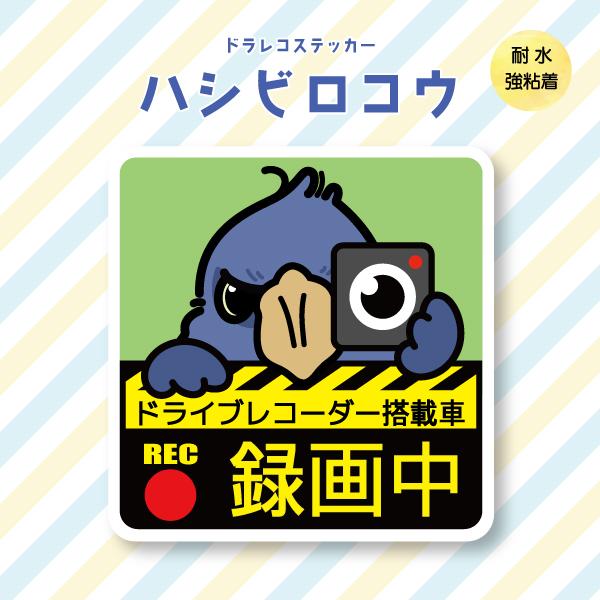 ドラレコステッカー ハシビロコウ ドラレコ 録画中 搭載 前後 カメラ 鳥 可愛い かわいい | 