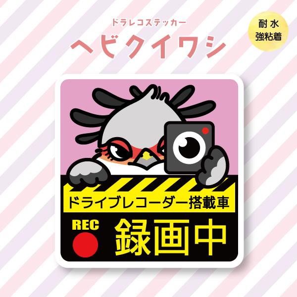 ドラレコステッカー ヘビクイワシ ドラレコ 録画中 搭載 前後 カメラ 鳥 可愛い かわいい | 