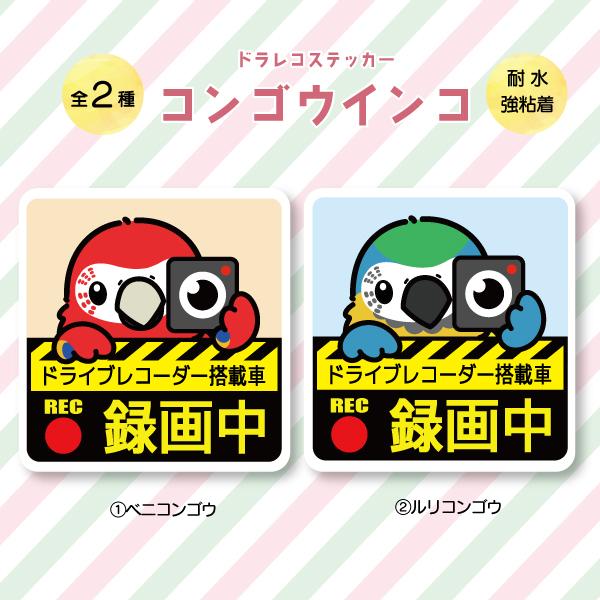 ドラレコステッカー コンゴウインコ ドラレコ 録画中 搭載 前後 カメラ 鳥 可愛い かわいい | 