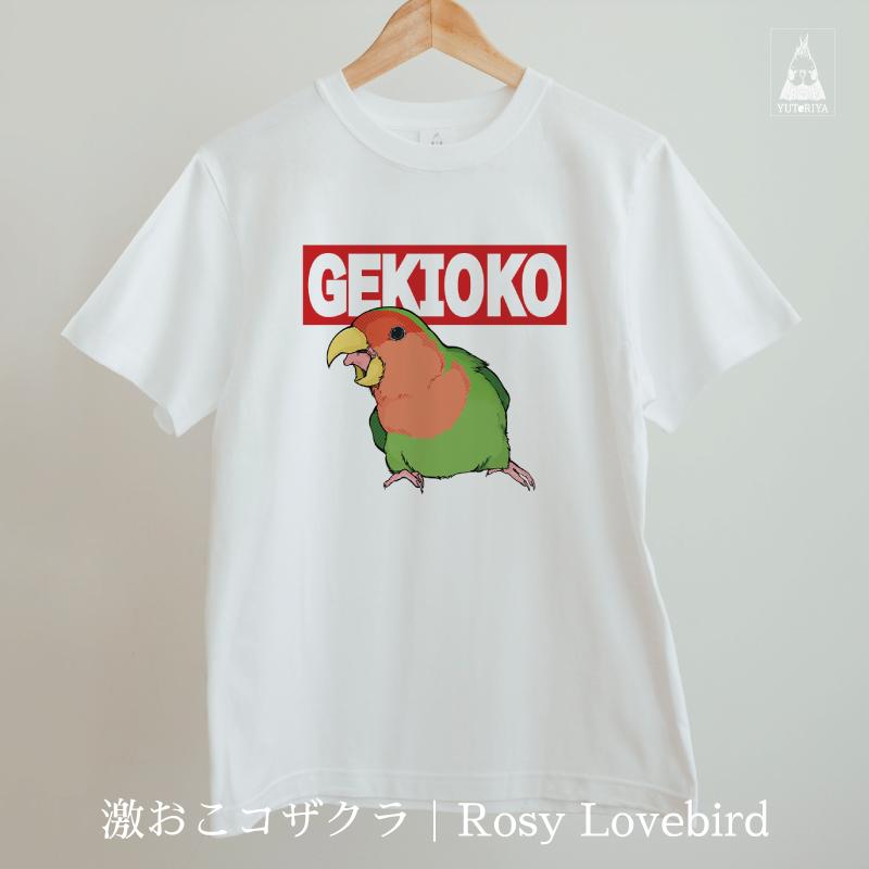 Tシャツ｜激おこ小鳥シリーズ（白ボディ） |  | 07