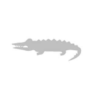 オーダーメイド クロコダイル ワニ 時計バンド ベルト ストラップ お好みの色で染色します (送料代引き手数料無料!) 原皮からお作りします