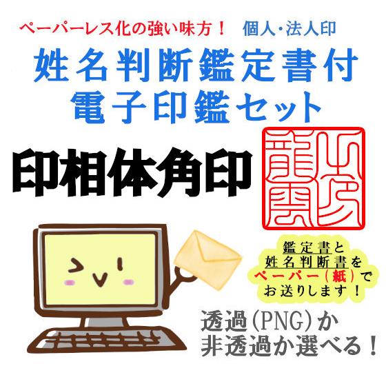龍雲式姓名判断鑑定書付電子印鑑セット 印相体 データ印鑑 角印