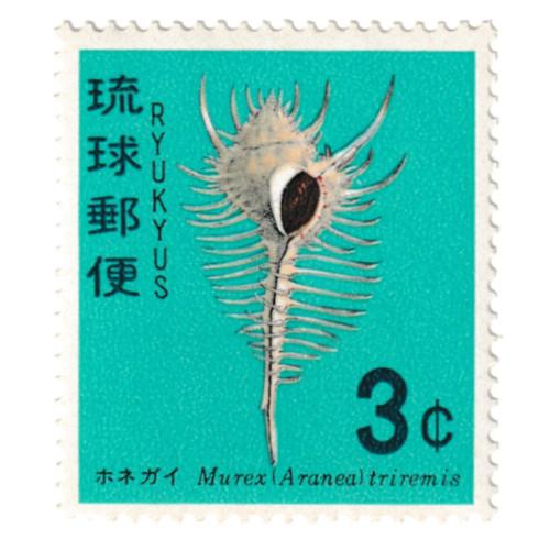 琉球切手 貝シリーズ 5種完 昭和42・43年(1967・1968) : yuuhiflower