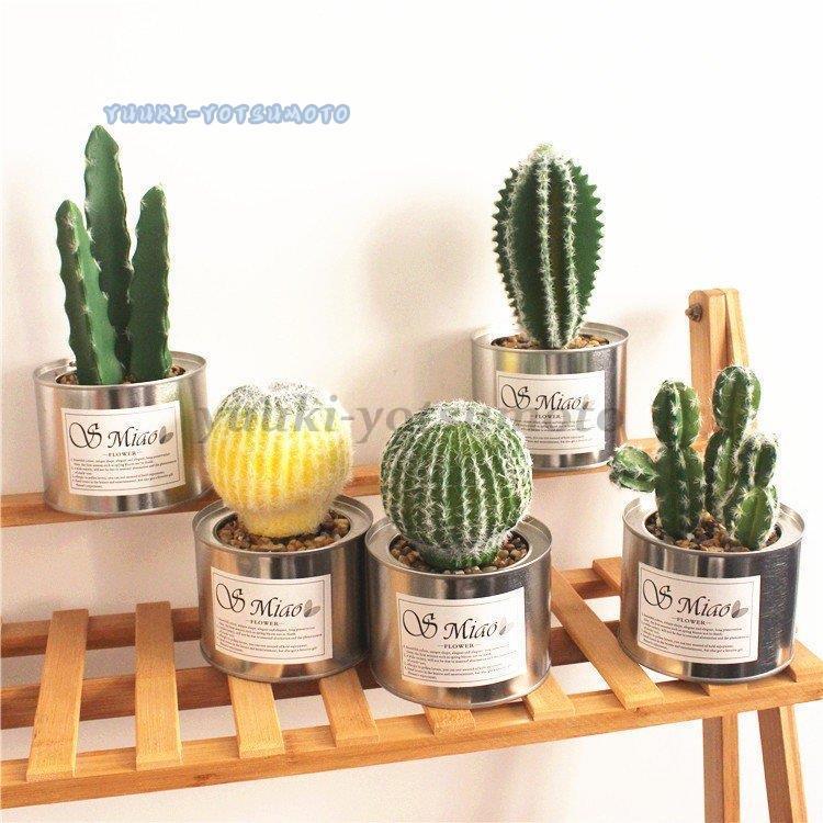 人工観葉植物 フェイクグリーン フェイク観葉植物 造花 鉢花 ミニ多肉植物 ミニ 多肉植物 卓上 インテリア 装飾 窓際 リビング 寝室 リフレッシュ Ll0917 Mglsn523 四元優希 通販 Ysh Japanヤフー店ogrmar ミニプラスチック人工植物 鉢植えの芝 小さな人工人工緑 ミニ