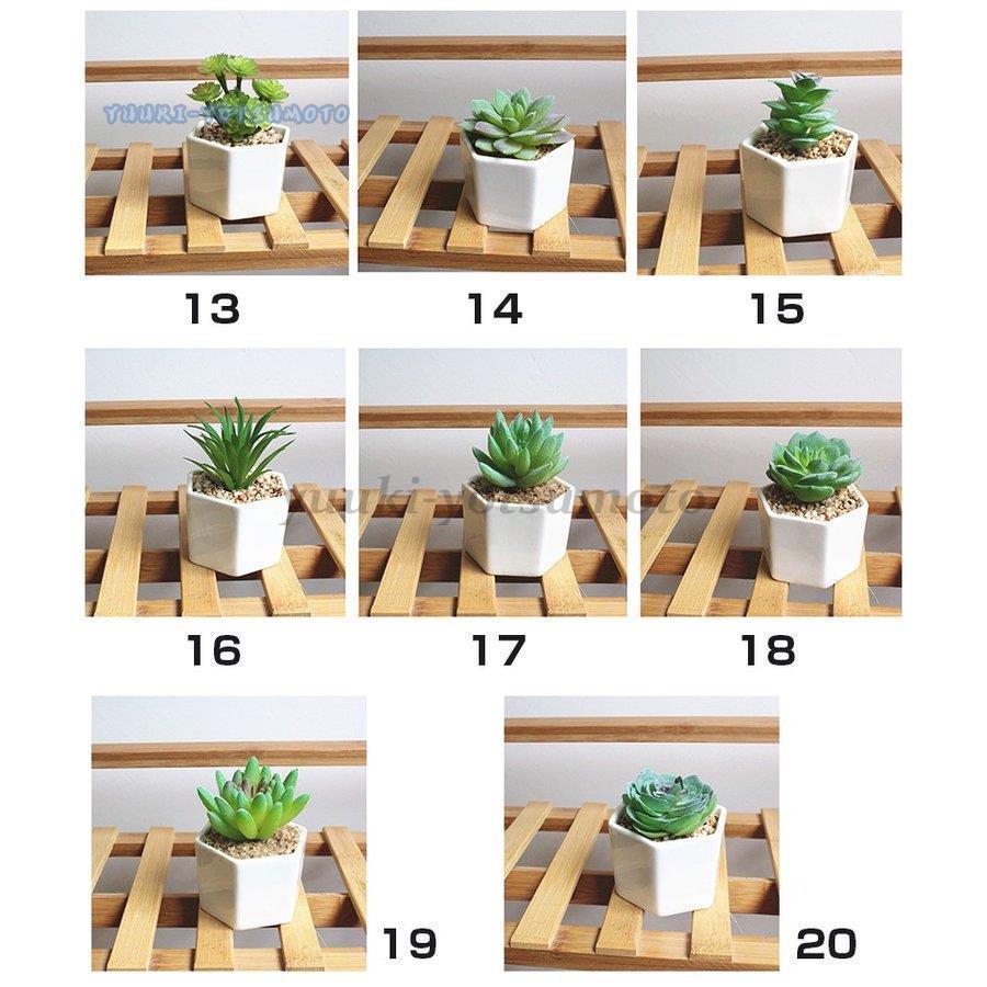 人工観葉植物 フェイクグリーン フェイク観葉植物 造花 ミニ多肉植物 多肉植物 ミニサイズ 卓上 白陶器鉢 かわいい インテリア 贈り物 プレゼント Ll0917 Mglsn321 四元優希 通販 Yahoo ショッピング