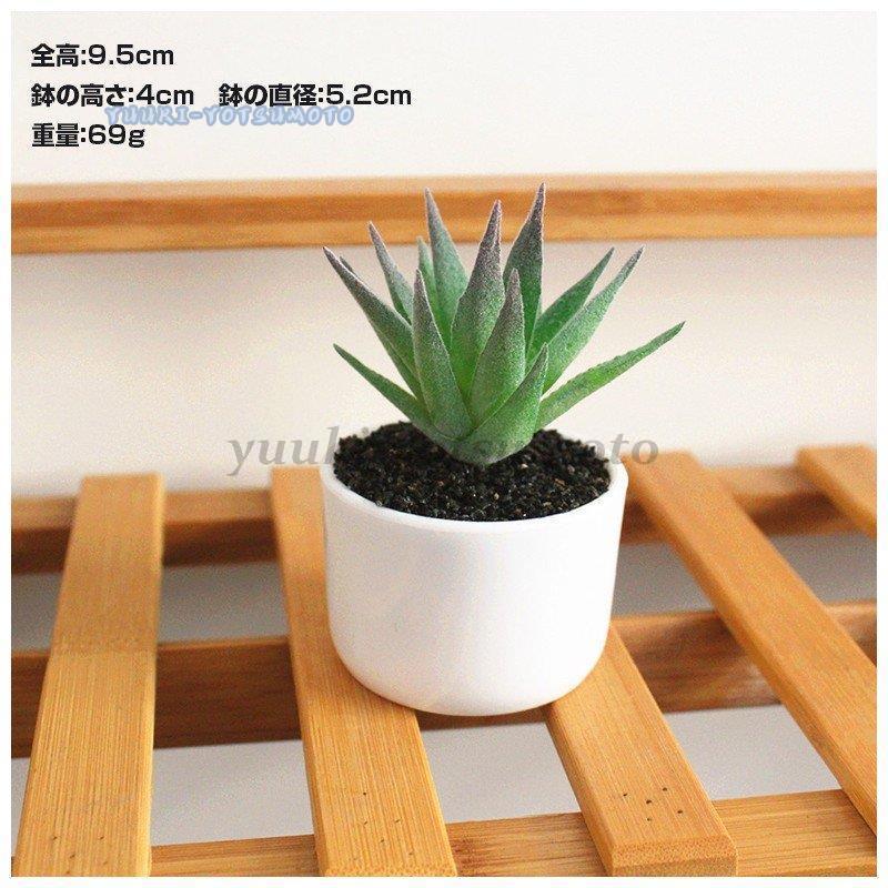 人工観葉植物 フェイクグリーン フェイク観葉植物 造花 ミニ多肉植物 多肉植物 ミニサイズ 卓上 白陶器鉢 かわいい インテリア 贈り物 プレゼント Harfb36 Mahalo 通販 Ysh Japanヤフー店人工植物 室内装飾 鉢植え 人工植物 リアルな人工植物 人工多肉植物 人工