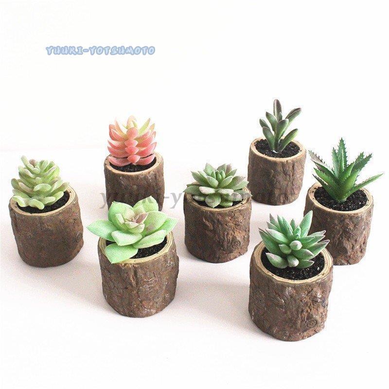 人工観葉植物 フェイクグリーン フェイク観葉植物 造花 多肉フェイクグリーン サボテン 多肉植物 リアル ミニポット 切り株ポット ミニサイズ 枯れな Ll0917 Mglsn635 四元優希 通販 Yahoo ショッピング