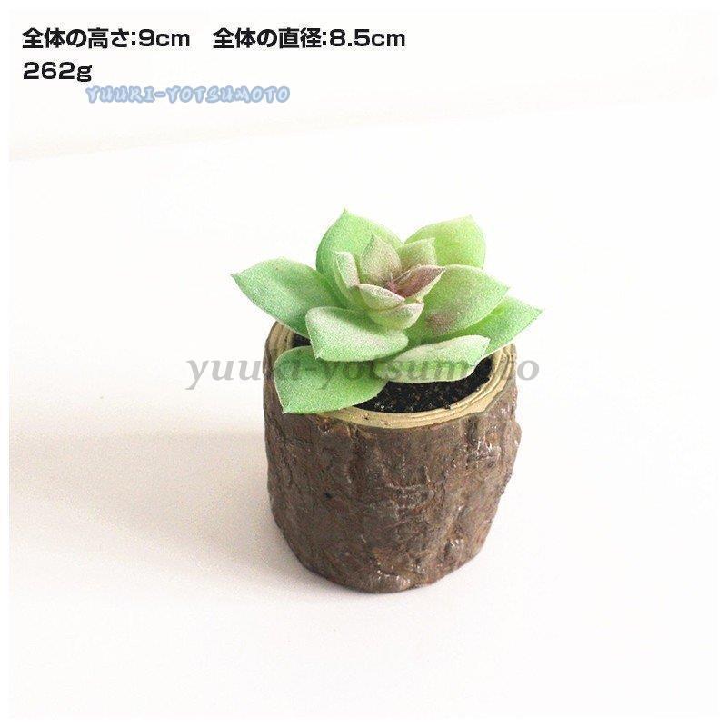 人工観葉植物 フェイクグリーン フェイク観葉植物 造花 多肉フェイクグリーン サボテン 多肉植物 リアル ミニポット 切り株ポット ミニサイズ 枯れな Ll0917 Mglsn635 四元優希 通販 Yahoo ショッピング