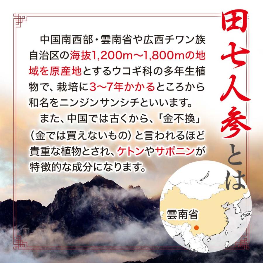 【即納！最大半額！】 訳あり サプリ 田七人参 田七人参サプリメント 田七人参サプリ アウトレット 360粒*3個セット 約90日分 賞味期限2024年7月以降 送料無料 宅配便