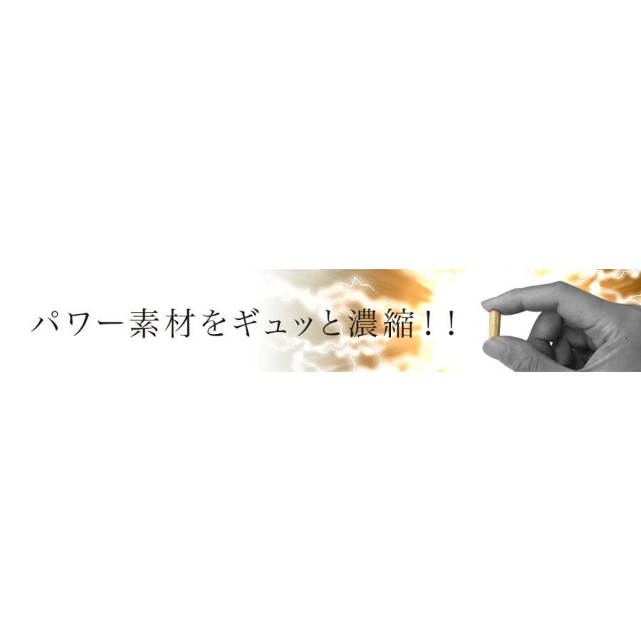 リピーター様限定 サプリ マカ maka マカサプリメント マカサプリ 有機マカ 有機 シトルリン 40カプセル*48個セット 約960日分 送料無料 宅配便｜yuukiseiyaku｜09