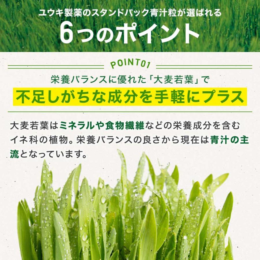 サプリ 青汁 あおじる 青汁サプリ 青汁粒 青汁ランキング 野菜不足 野菜 不足 栄養 ダイエット ダイエット食品 330粒 約27〜41日分 送料無料 メール便｜yuukiseiyaku｜07