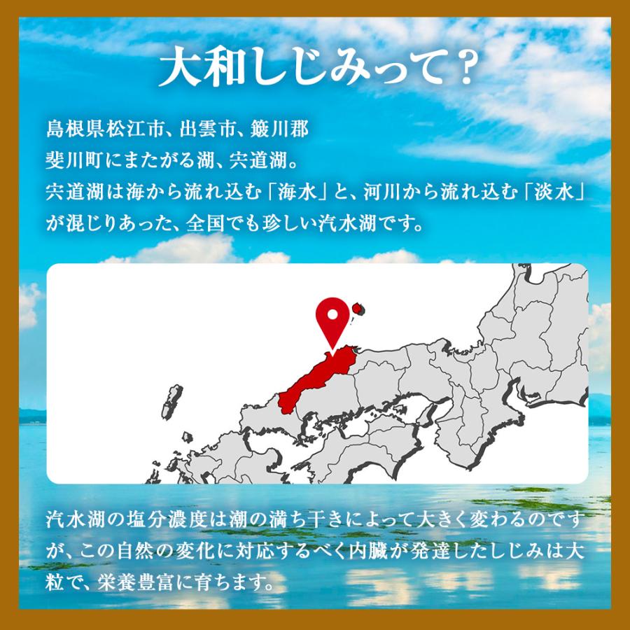 サプリ しじみ 国産 しじみサプリメント しじみオルニチン 国産しじみ しじみエキス 160粒*2個セット 約32〜52日分 送料無料 メール便｜yuukiseiyaku｜08