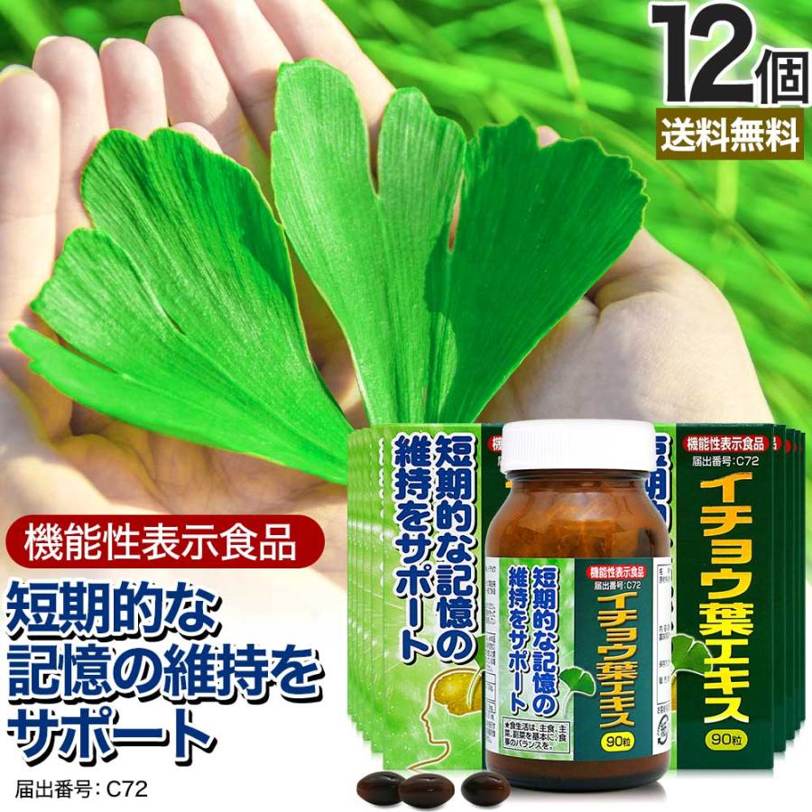 安心の定価販売 サプリ イチョウ葉 イチョウ葉エキス イチョウ葉サプリメント イチョウ フラボノイド テルペンラクトン まとめ買い 90粒 12個セット 約360日分 宅配便 大注目 Vulkanvegas Corridatrevo Com Br