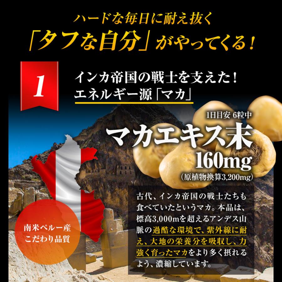 訳あり サプリ サプリメント 男性 マカ アルギニン 亜鉛 アウトレット 120粒*3個セット 約60〜90日分 賞味期限2024年9月以降 送料無料 メール便｜yuukiseiyaku｜05