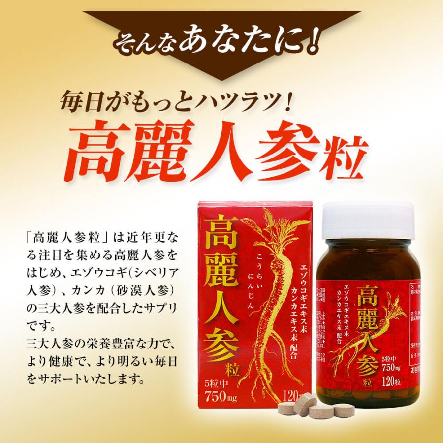 訳あり 高麗人参 朝鮮人参 ウコギ エキス サプリ アウトレット 120粒*6個セット 約144〜180日分 賞味期限2024年7月のみ 送料無料 宅配便｜yuukiseiyaku｜04