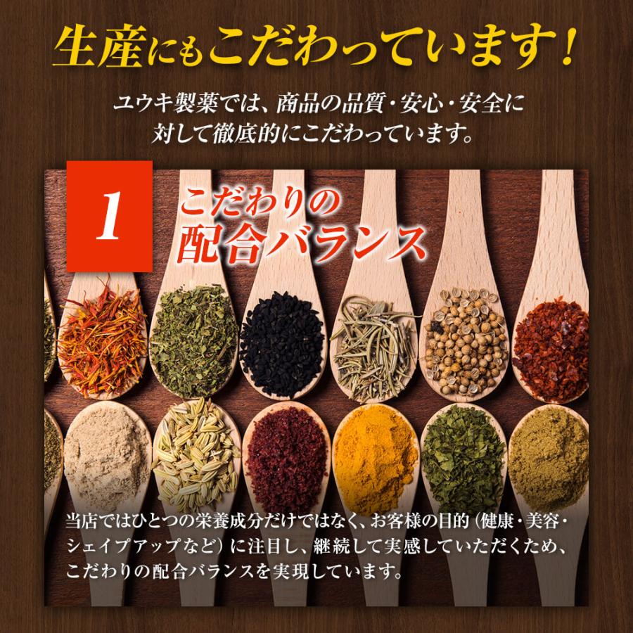 訳あり 高麗人参 朝鮮人参 ウコギ エキス サプリ アウトレット 120粒*6個セット 約144〜180日分 賞味期限2024年7月のみ 送料無料 宅配便｜yuukiseiyaku｜07