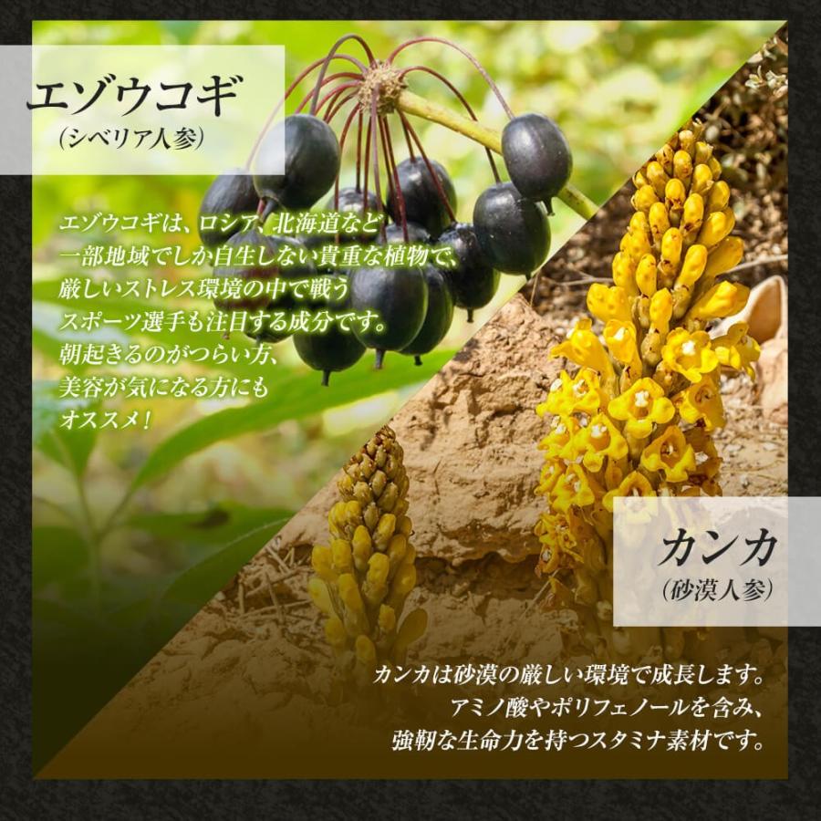 高麗人参 高麗人参サプリ にんじん 朝鮮人参 エゾウコギ ウコギ エキス カンカ サプリ 高麗人参エキス 1粒 約24 30日分 送料無料 宅配便 ギフト対象品 健康食品と馬油専門店 ユウキ製薬 通販 Yahoo ショッピング