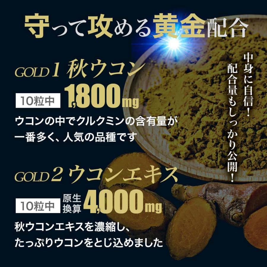 最新品 マカ Maka マカサプリ 黒マカ 秋ウコン 秋ウコン ウコン 送料無料 クルクミン 黒マカ サプリ サプリメント まとめ買い 0粒 48個セット 約960 10日分 送料無料 宅配便 M48c 健康食品と馬油専門店 ユウキ製薬 人気 モデル