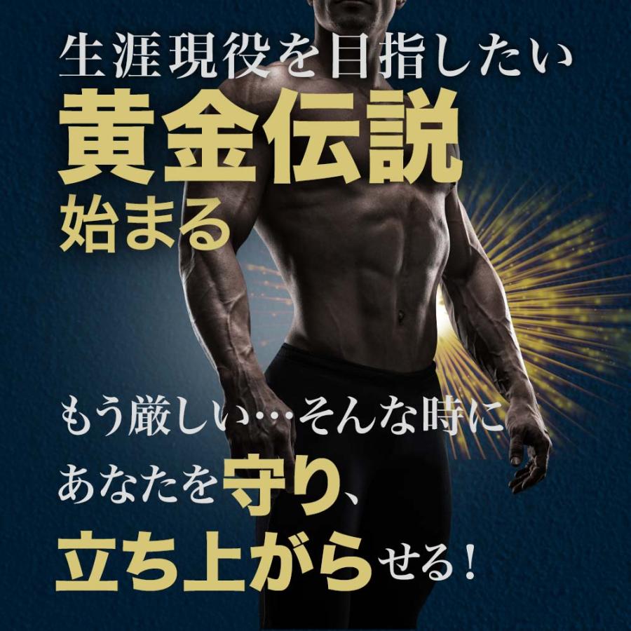 訳あり マカ maka マカサプリ 秋ウコン ウコン サプリ アウトレット 200粒*3個セット 約60〜90日分 賞味期限2025年8月以降 送料無料 メール便｜yuukiseiyaku｜02