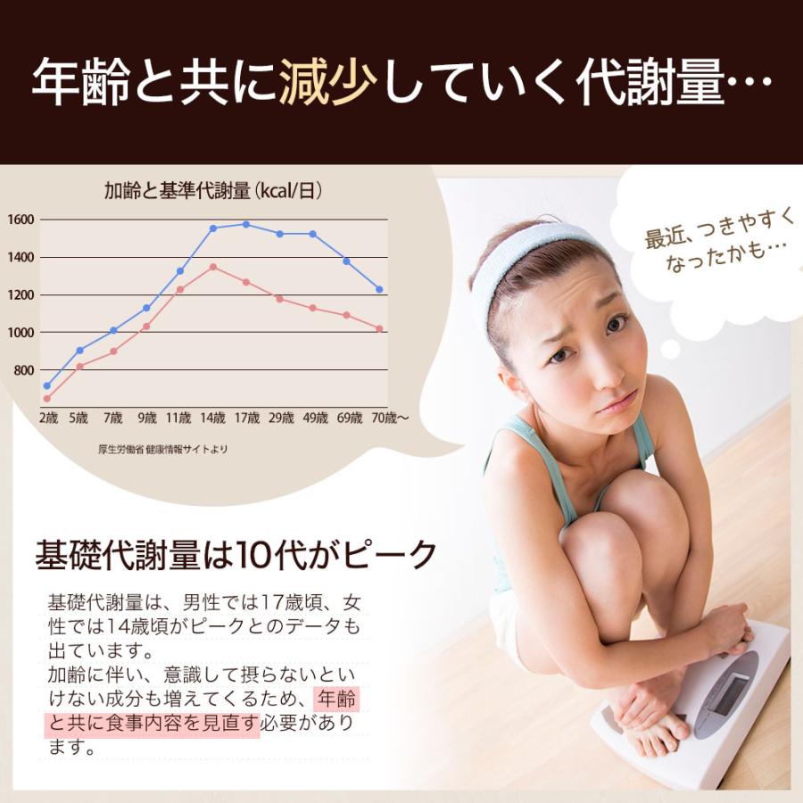 超可爱の ダイエット サプリ サプリメント ダイエット食品 ダイエットサプリメント Lカルニチン デキストリン 食べすぎ 男性 女性 132粒 約22 33日分 送料無料 メール便 Wantannas Go Id