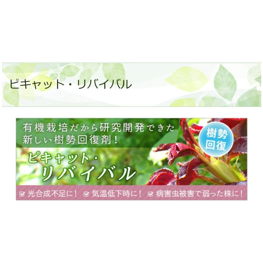 ピキャット・リバイバル５００ml |  | 01