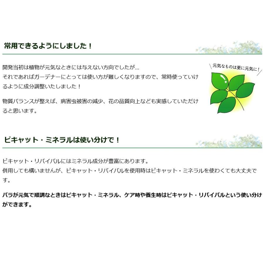 ピキャット・リバイバル５００ml |  | 10