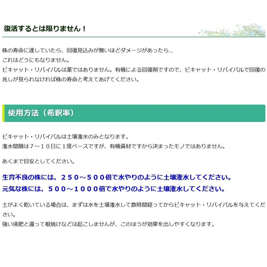 ピキャット・リバイバル５００ml |  | 13
