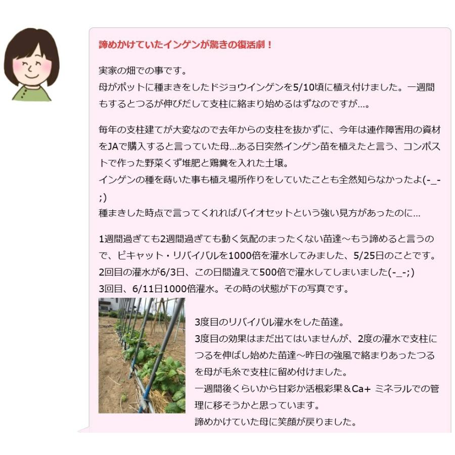 ピキャット・リバイバル５００ml |  | 16