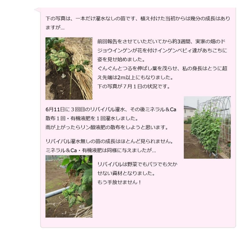 ピキャット・リバイバル５００ml |  | 17