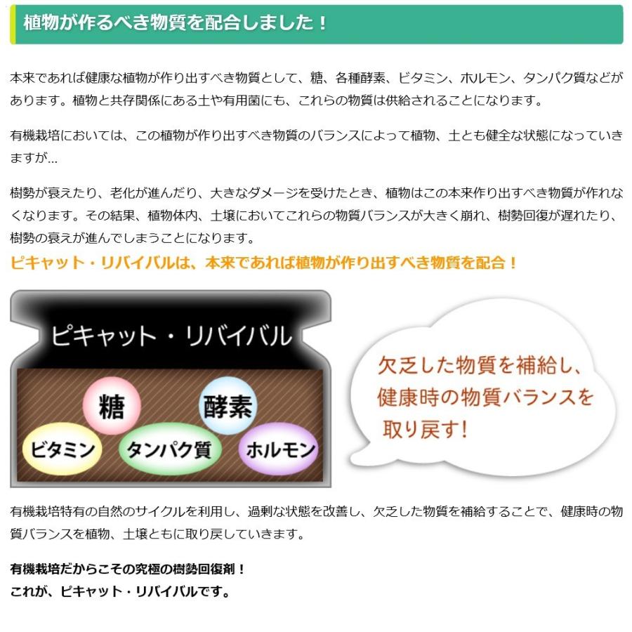 ピキャット・リバイバル５００ml |  | 02