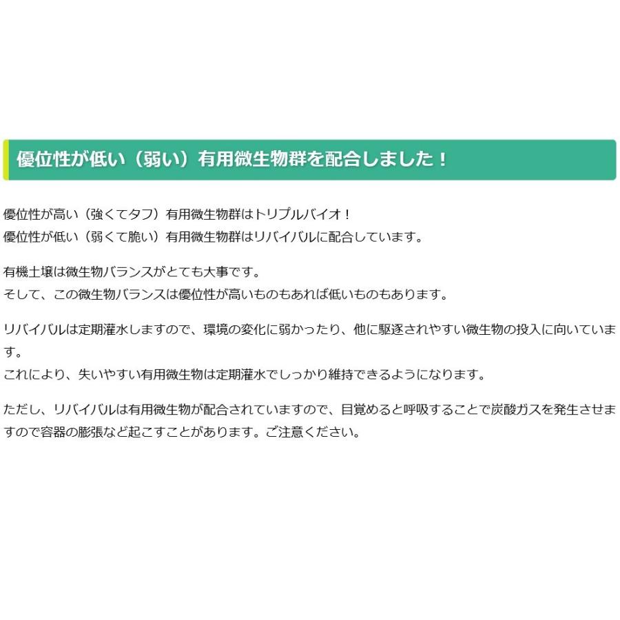 ピキャット・リバイバル５００ml |  | 03