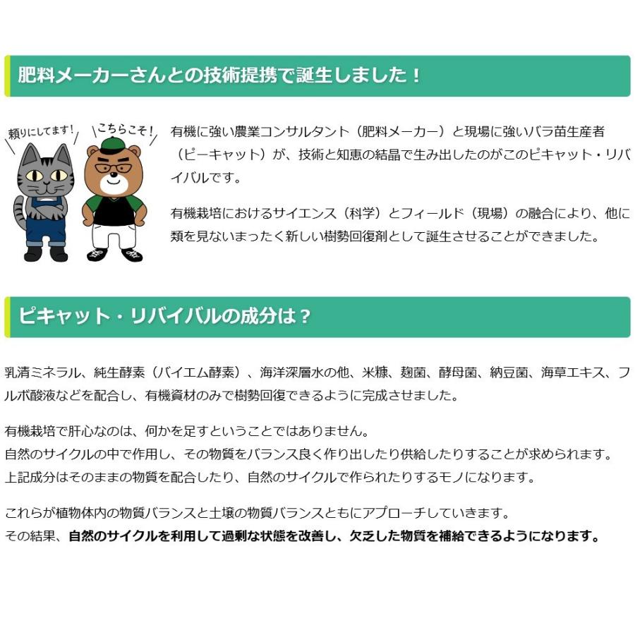 ピキャット・リバイバル５００ml |  | 04