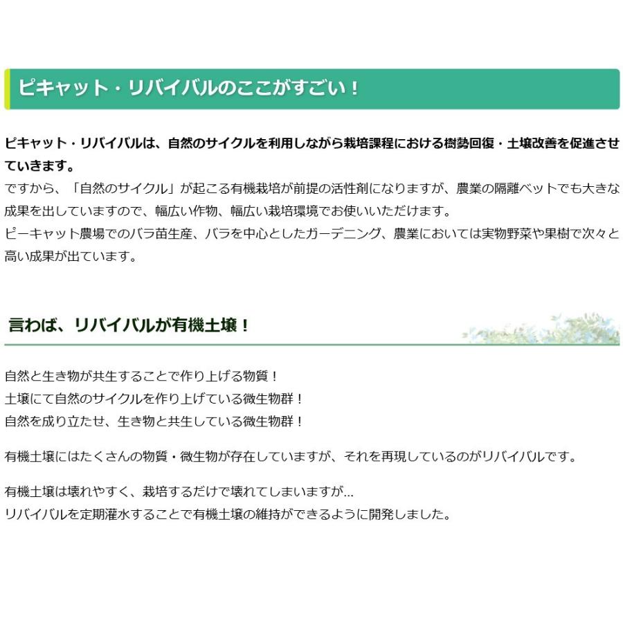 ピキャット・リバイバル５００ml |  | 05