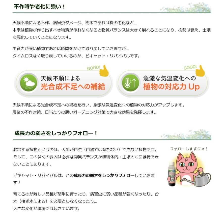 ピキャット・リバイバル５００ml |  | 06