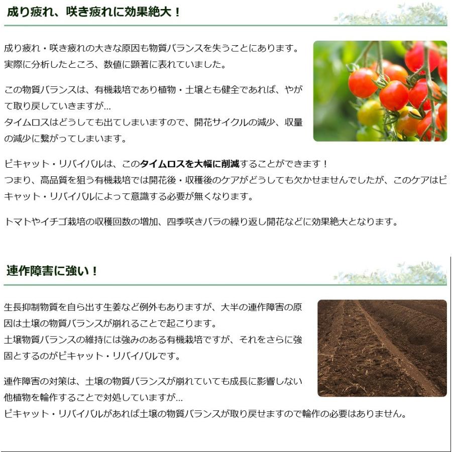 ピキャット・リバイバル５００ml |  | 07