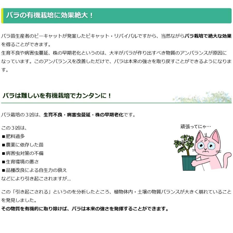 ピキャット・リバイバル５００ml |  | 08