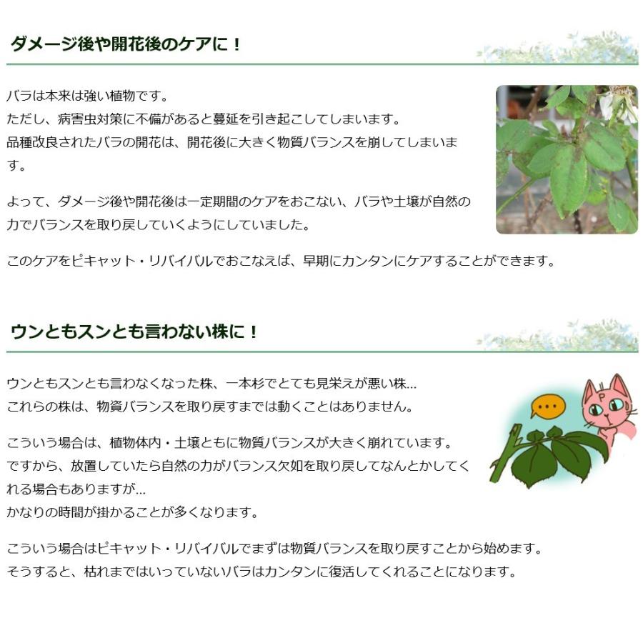 ピキャット・リバイバル５００ml |  | 09