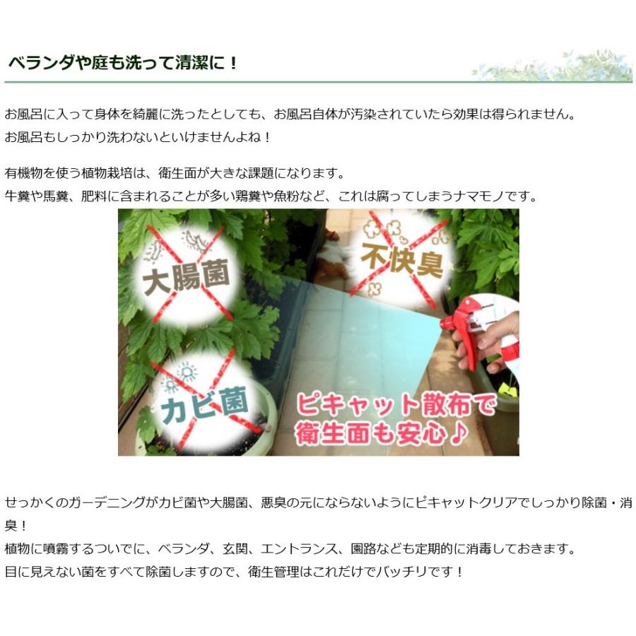 次亜塩素酸水を安全・安価に自作　ピキャットクリア生成　ロングホーススプレー付き　１００ｍｌセット |  | 19