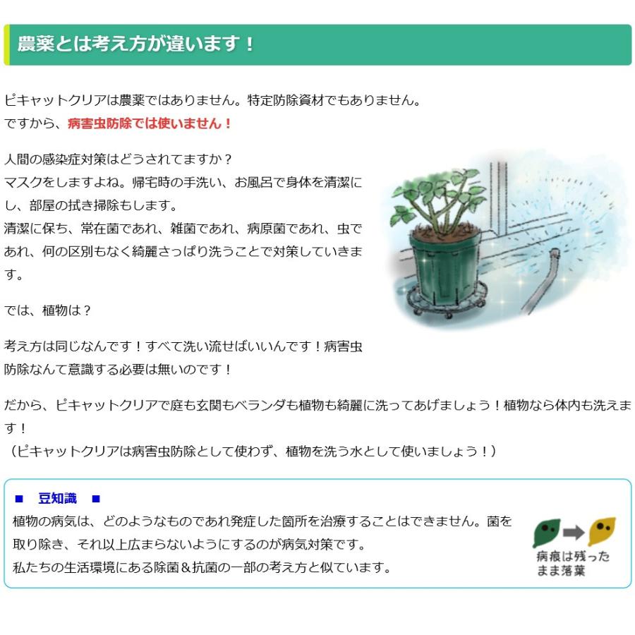 送料込み 次亜塩素酸水を安全・安価に自作 ピキャットクリア生成 ２０Lセットの画像