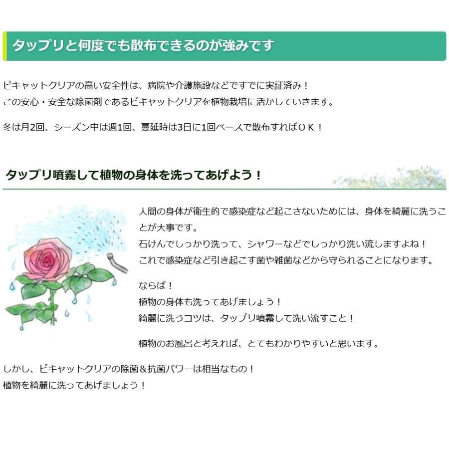 送料込み 次亜塩素酸水を安全・安価に自作 ピキャットクリア生成 ２０Lセットの画像