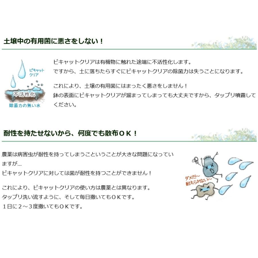 送料込み 次亜塩素酸水を安全・安価に自作 ピキャットクリア生成 ２０Lセットの画像