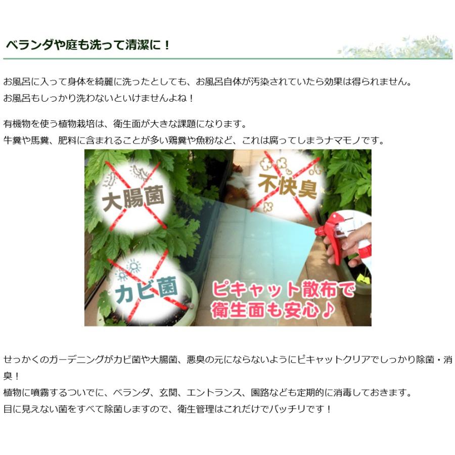 送料込み 次亜塩素酸水を安全・安価に自作 ピキャットクリア生成 ２０Lセットの画像