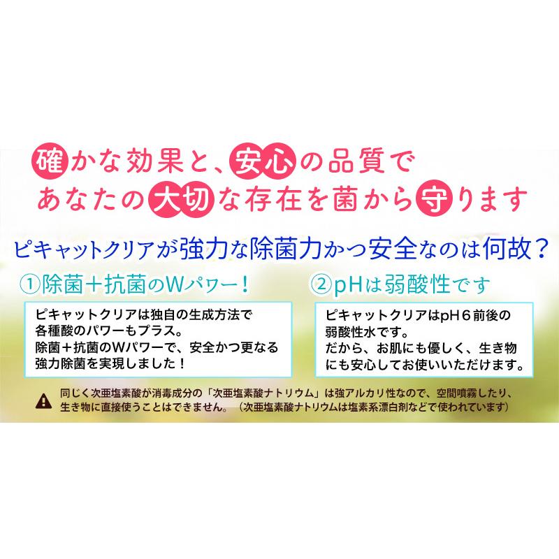 送料込み 次亜塩素酸水を安全・安価に自作 ピキャットクリア生成 ２０Lセットの画像