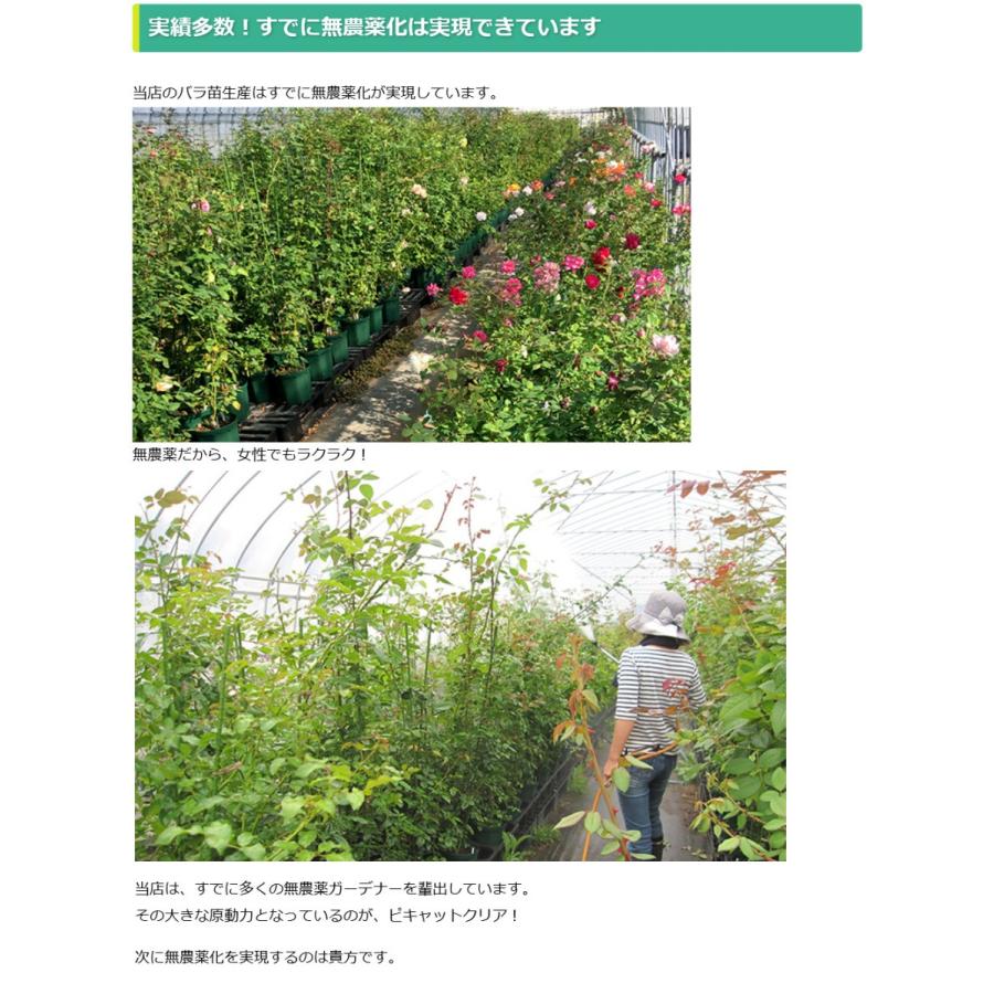 送料込み 次亜塩素酸水を安全・安価に自作 ピキャットクリア生成 ２０Lセットの画像