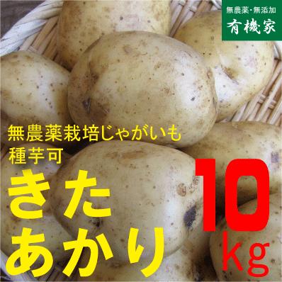 無農薬 じゃがいも キタアカリ Ljvuijuulj Clubgetfit Ch