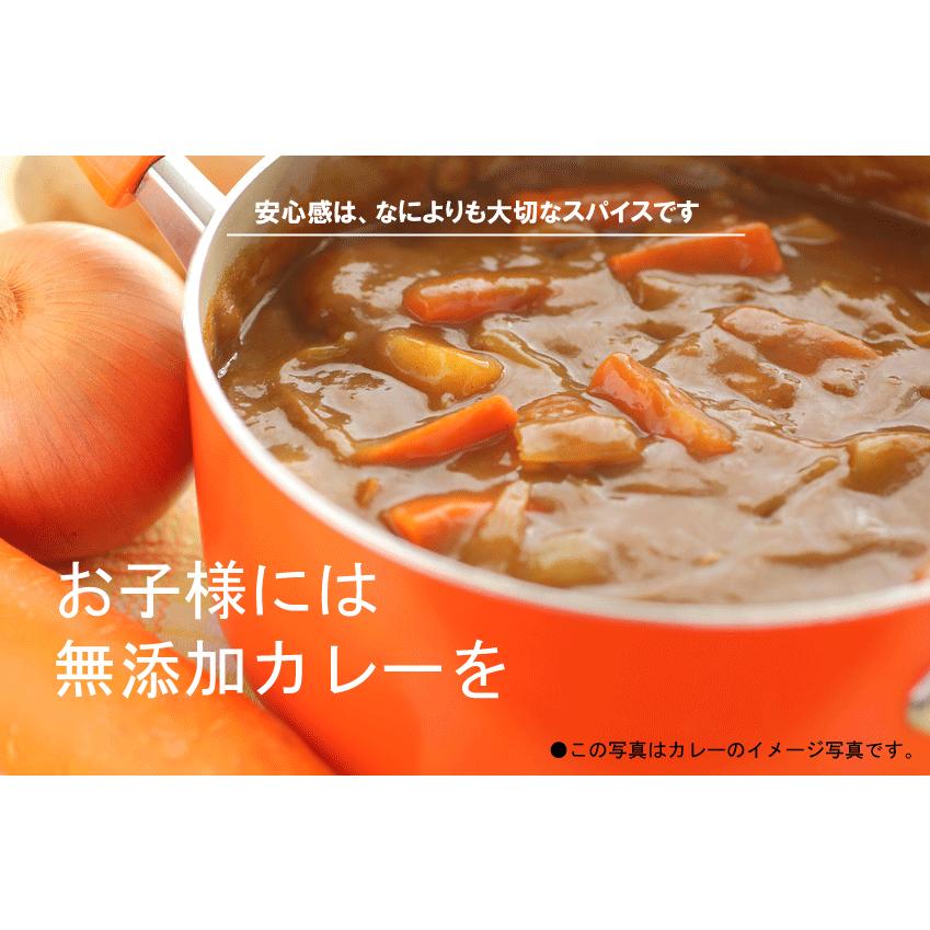 無添加・オーサワ　スパイス香るカレールウ(中辛) 120g　無添加カレールウ・玄米粉使用 動物性原材料不使用　2個までネコポス便可｜yuukiya0097｜02