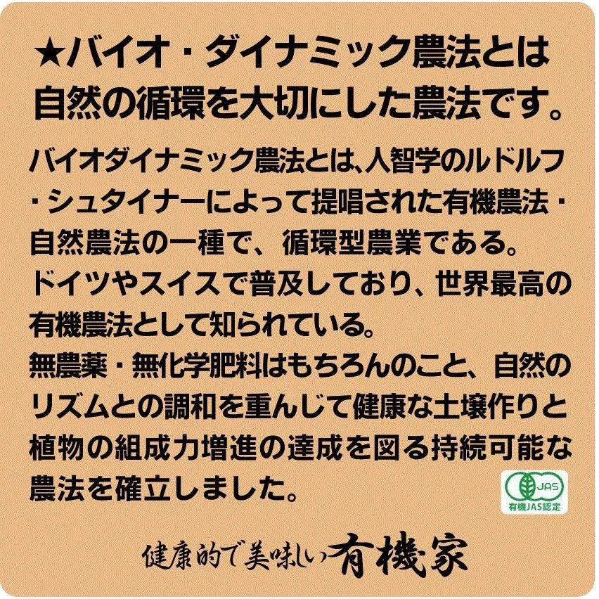 無添加・オーサワ　スパイス香るカレールウ(中辛) (１２０ｇ×２ ネコポス便 )無添加カレールー・小麦粉の代わりに玄米粉使用 動物性原材料不使用｜yuukiya0097｜03